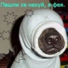 Аватар: Фанавей Ниязбеков