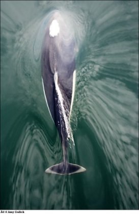 Екатерина Иконникова | Москва