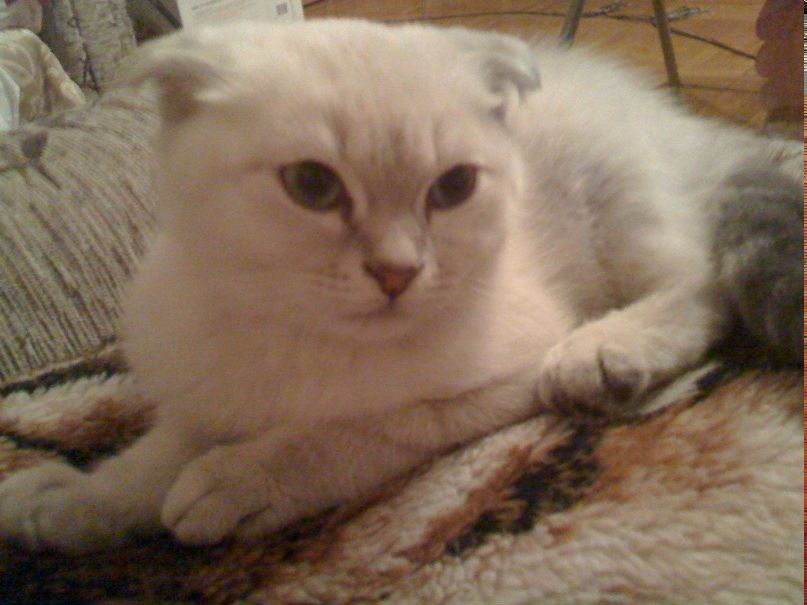 Наталья Полик | Санкт-Петербург