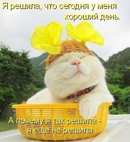 Кристина Попова | Chicago