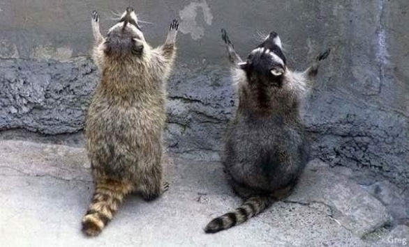 №18, Алексей Андреев №18, Алексей Андреев