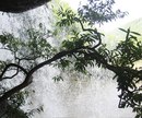 Фотография Владимир Лебедев