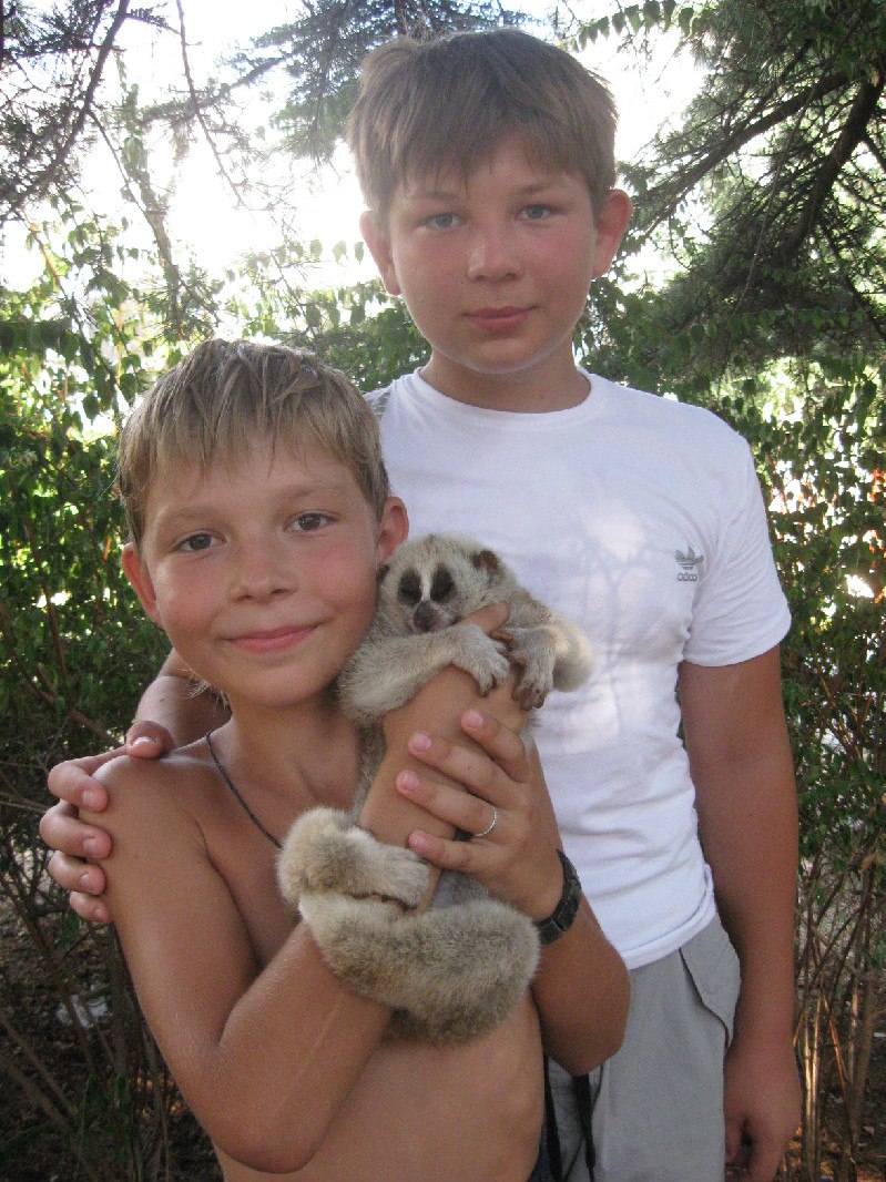 Влад Нехорошев | Ульяновск