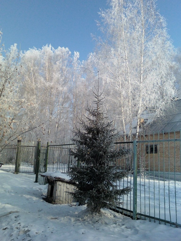Радик Жамалитдинов | Челябинск
