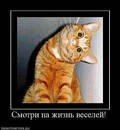 Фотография Анисимовой Тани