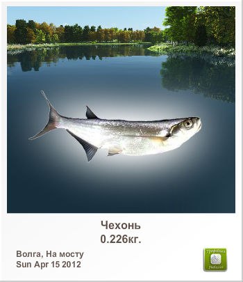 Санёк Сизов | Саратов