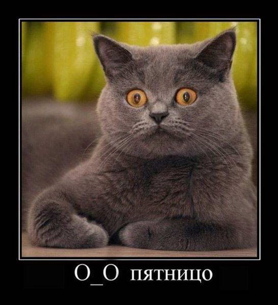 Роман Коротких | Ижевск