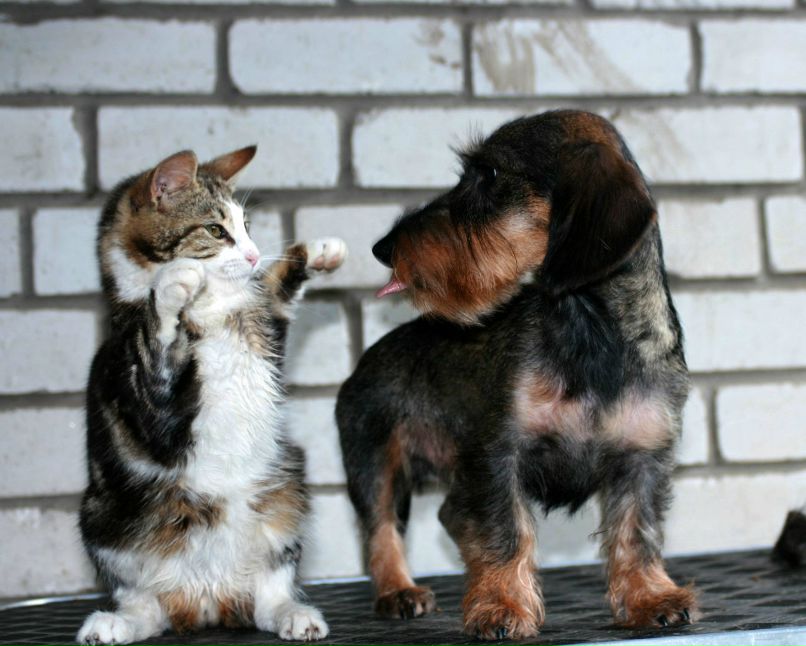 Максим Максимов | Москва