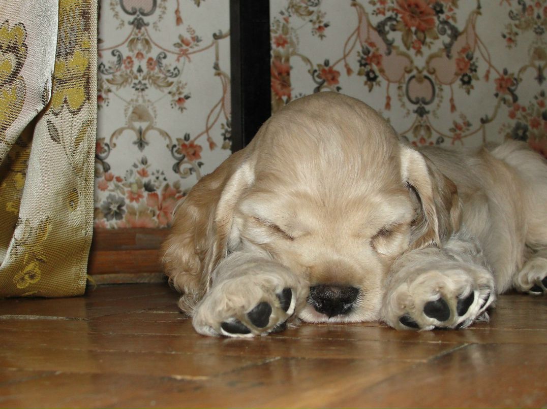 Виктория Кудрявцева | Сочи