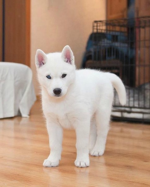 Daria Malinnikova | Москва