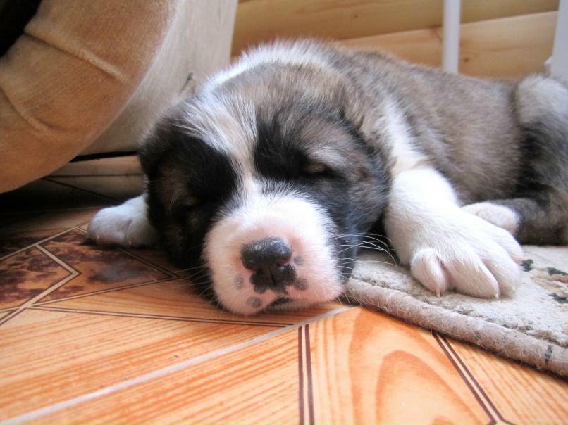 Светлана Шумакова | Железногорск