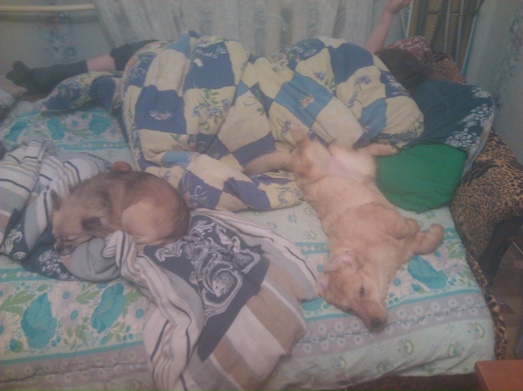 Ленок Асеева | Нижний Новгород