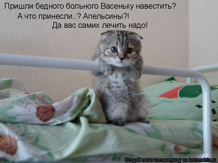 Елена Соколова | Санкт-Петербург