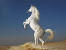 Фотография Volkov Владимира