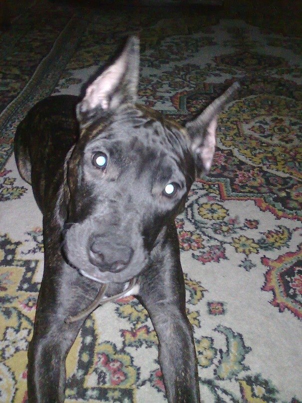 Кристина Шишкина | Астана / Нур-Султан