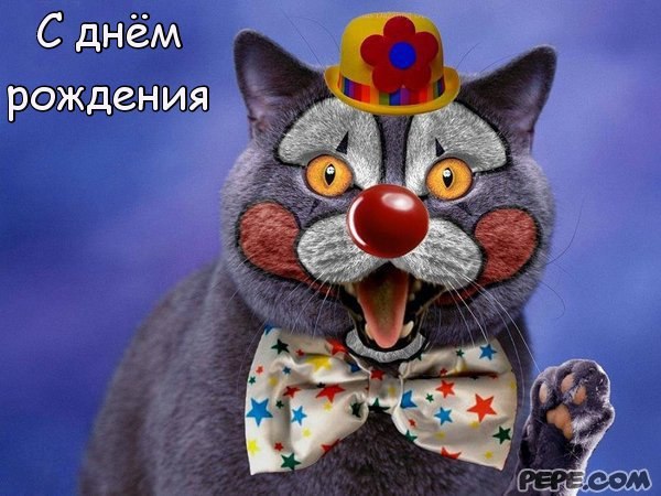 Марина Вирчич | Омск