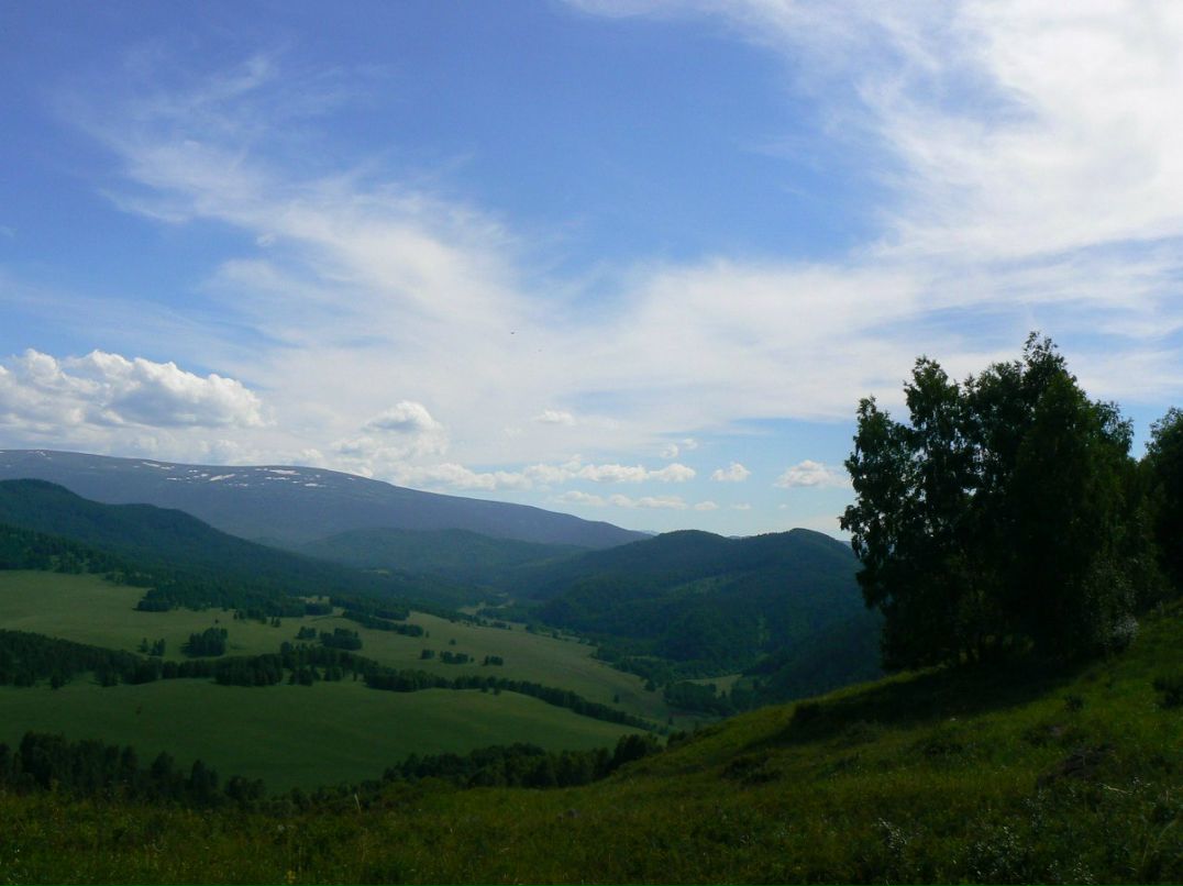 Вячеслав Рощин | 