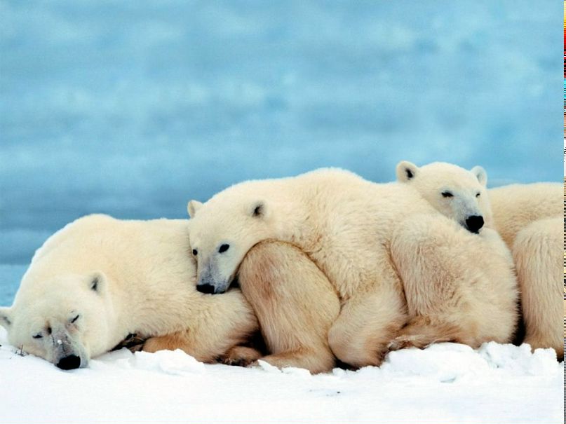 Александр Архипов | Верховцево