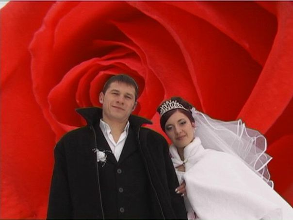 №106, Света Маляренко, Княжичи №106, Света Маляренко, Княжичи
