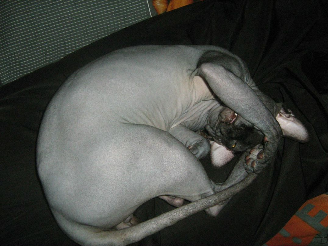 Кристина Сенчугова ♥^√V''^√\√V''^√\♥ | Владимир