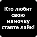Фотография Лебедева Данила