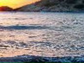 Анастасия Король | Минск