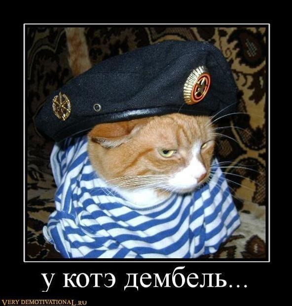 Стас Алфёров | Berlin