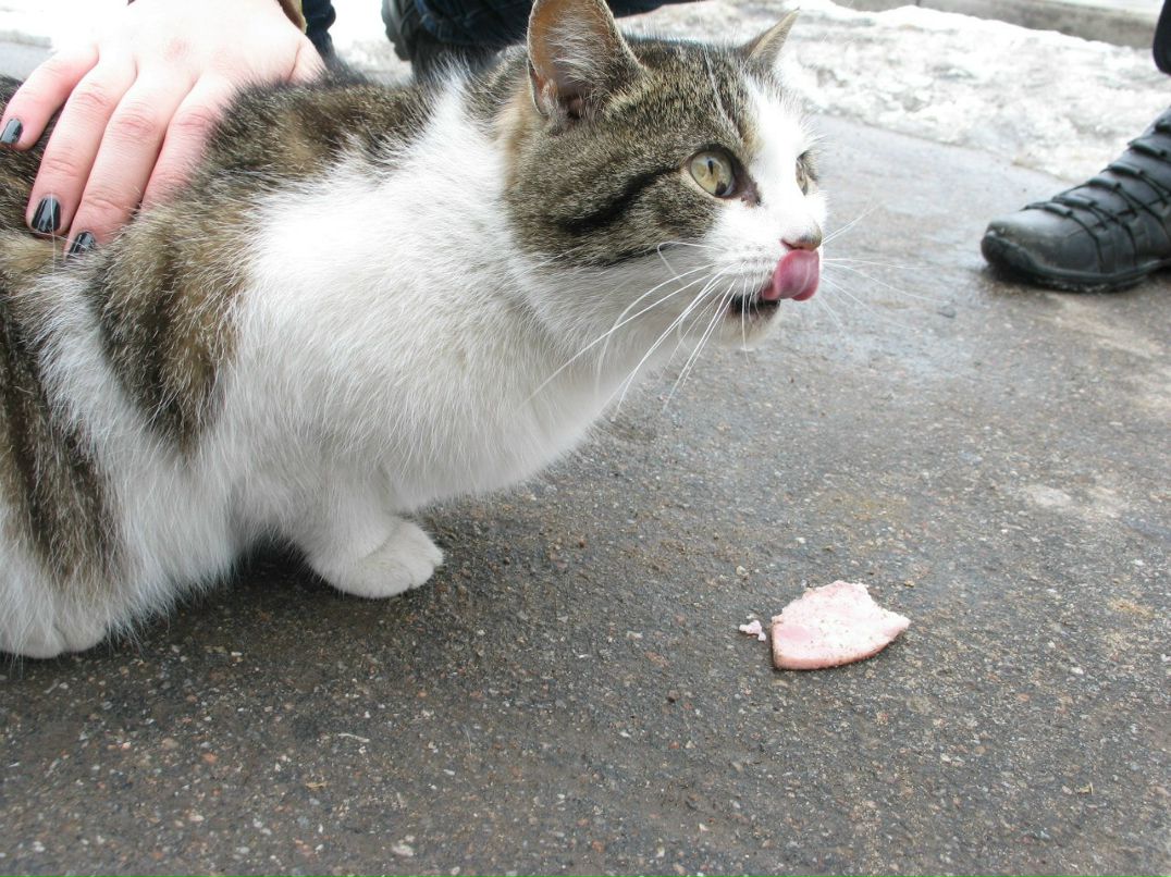 Катя Шапиро | Москва