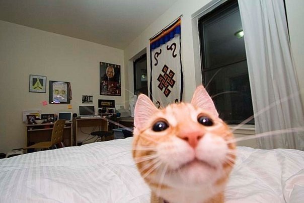 Евгений Охота | Енакиево