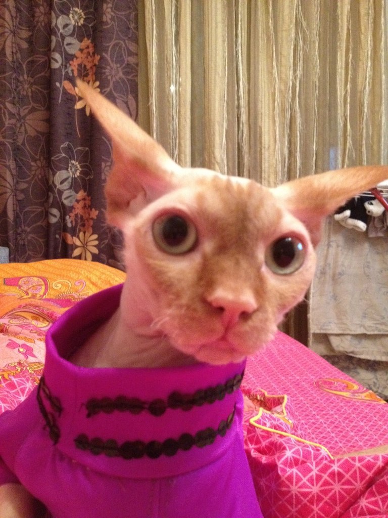 Андрей Стальмаков | Москва