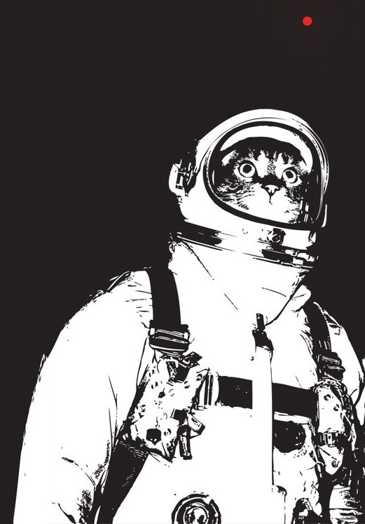 Шура Гончарук | Санкт-Петербург