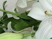 Кристина Петраш | Запорожье