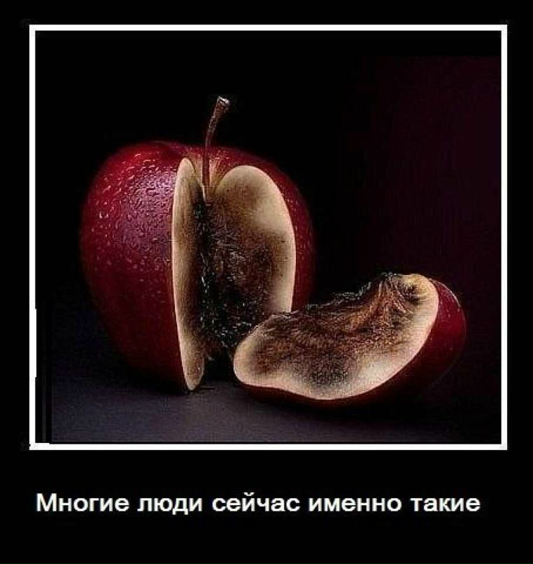 Кристина Дорофеева *CD* | Москва