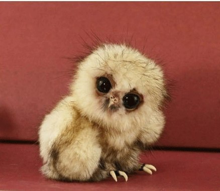 Маша Ефремова | Москва