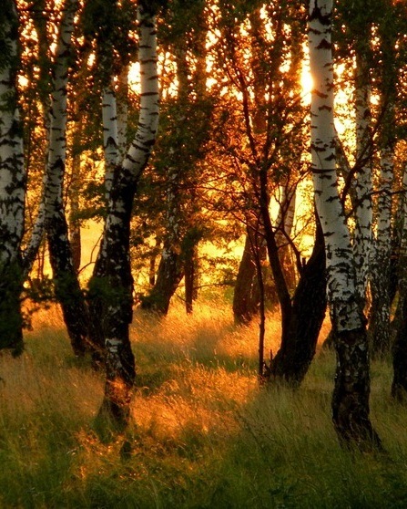 №50, Natalia Борносуз №50, Natalia Борносуз