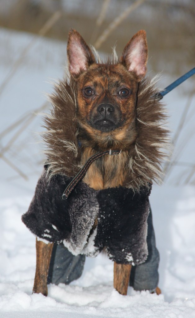 Наталья Чечурина | Санкт-Петербург