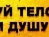 Артур Любовський $ TaYkS $ | Квасилов