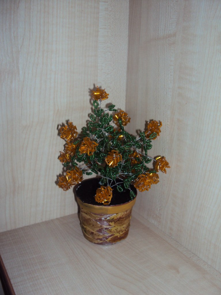 Елена Герман | Херсон