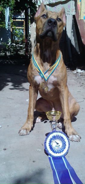 №31, Вова Кавицкий, 40 лет, Запорожье №31, Вова Кавицкий, 40 лет, Запорожье