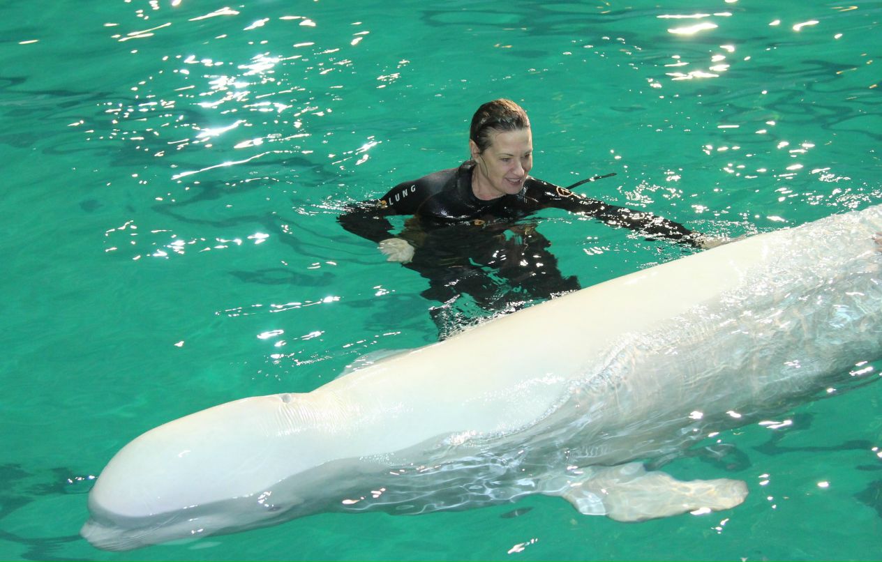 Юлия Алексеева | Санкт-Петербург