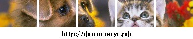 №15, Оля Чіхман, Гусятин №15, Оля Чіхман, Гусятин