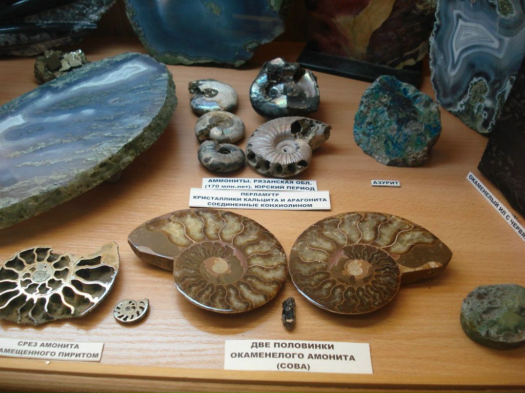 Лилия Фаттахова | Туймазы