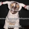 Аватар: Максим Сокол