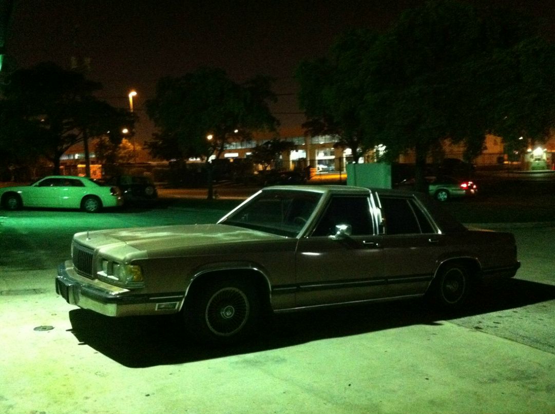 Iaroslav Vashchenko ЖОРА | Miami