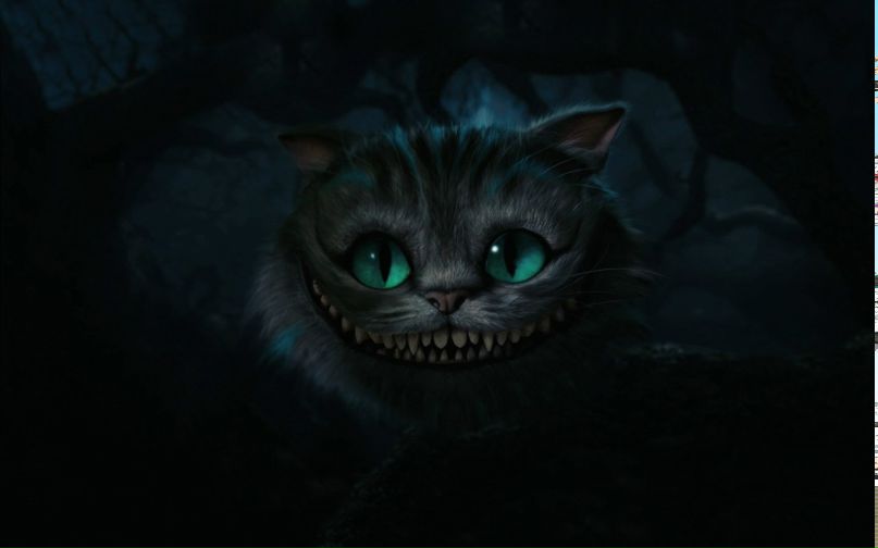 Дмитрий Мареев | Калининград