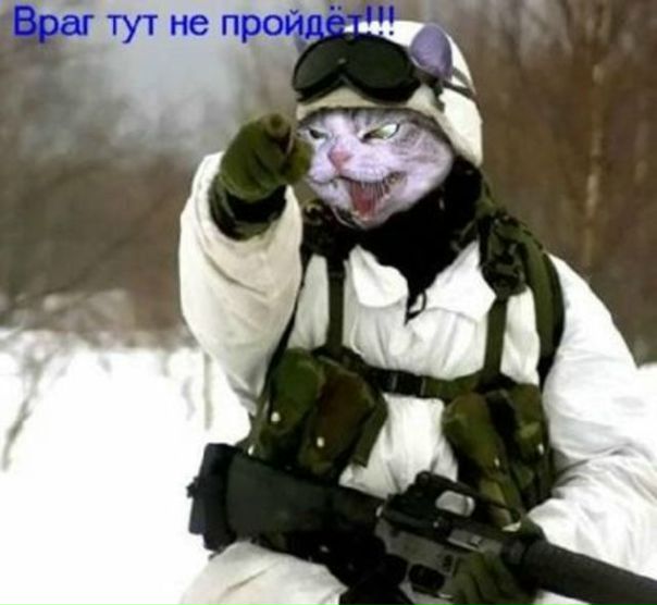 №7, Виталий Добрушин, 33 года, Ашдод №7, Виталий Добрушин, 33 года, Ашдод