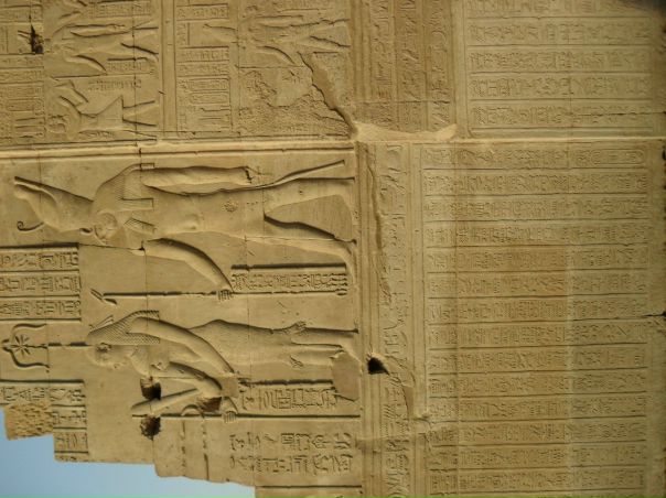 №84, Nicola Di-Chio, Bari №84, Nicola Di-Chio, Bari