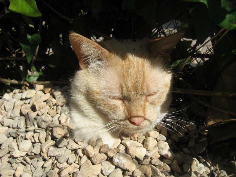 Ольга Егупова | l'Albir