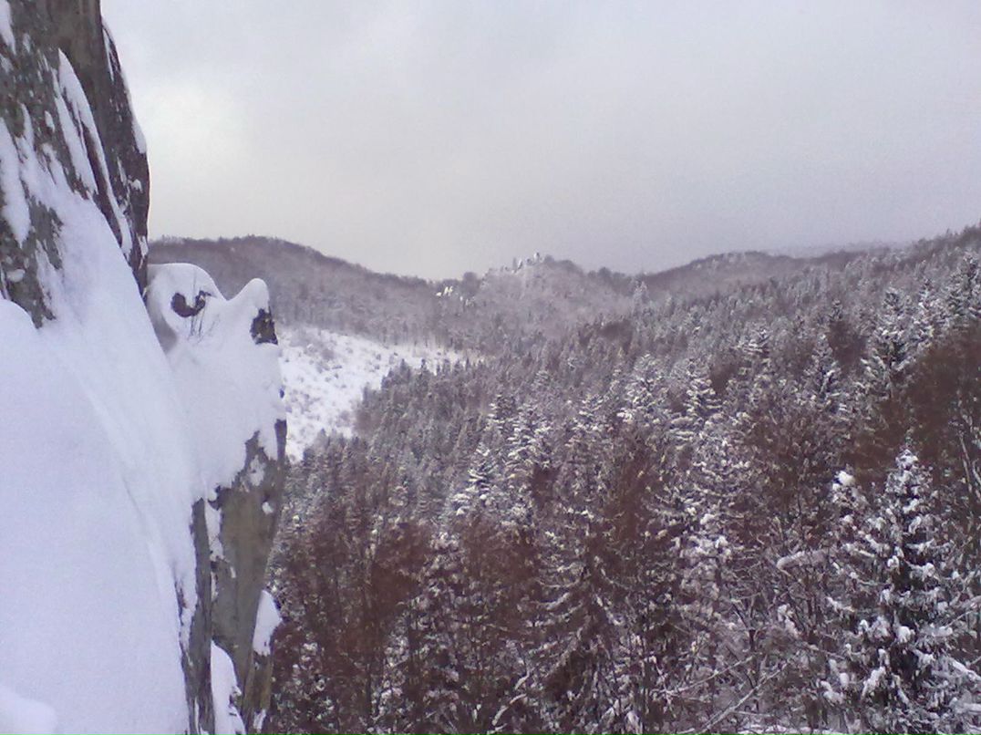 Кирилл Подорожный ~X-RaY~ | Харьков