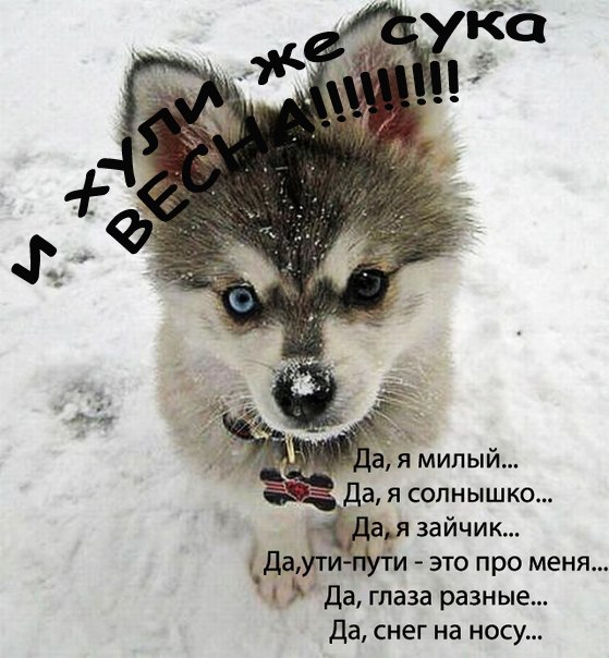 Владислав Минор | 